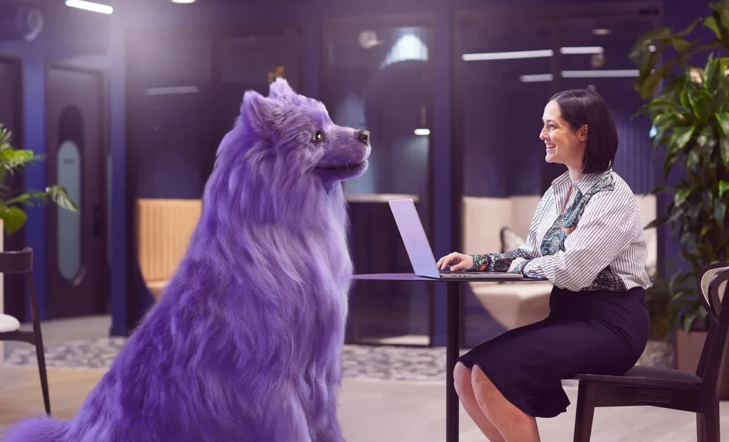 gamma purple dog sitting down