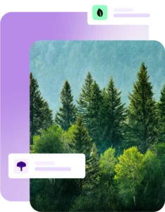 Woodland trees
