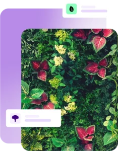 Plant wall