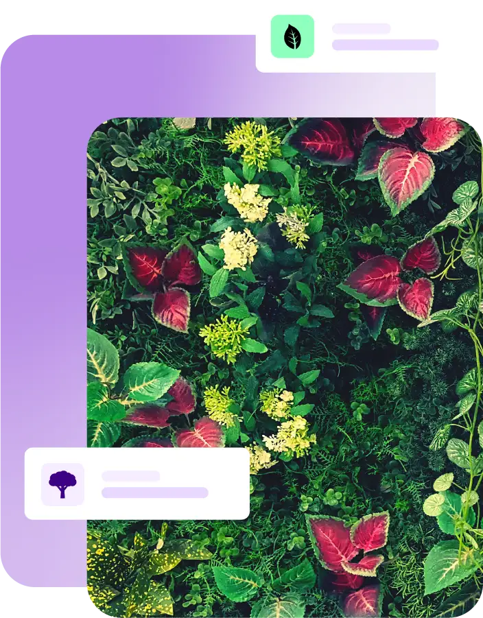 Plant wall