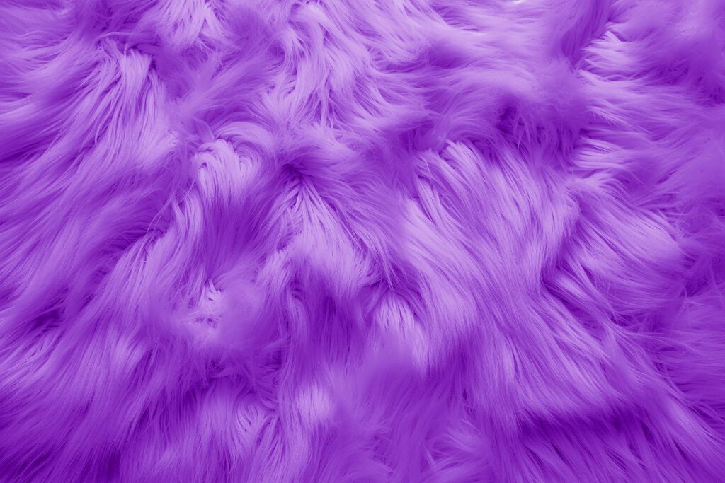 purple fur