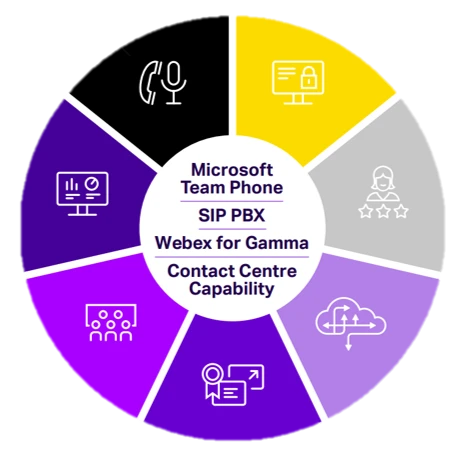 Service Suite Graphic